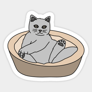 Russian Blue Cat Sticker